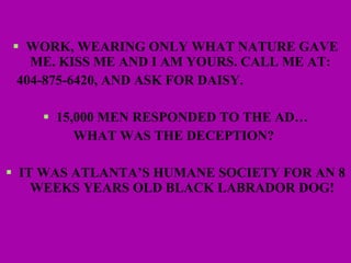 WORK, WEARING ONLY WHAT NATURE GAVE ME. KISS ME AND I AM YOURS. CALL ME AT:  404-875-6420, AND ASK FOR DAISY. 15,000 MEN RESPONDED TO THE AD… WHAT WAS THE DECEPTION?  IT WAS ATLANTA’S HUMANE SOCIETY FOR AN 8 WEEKS YEARS OLD BLACK LABRADOR DOG! 
