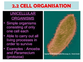 form4(BIOLOGY) chap 2 pt2 | PPT