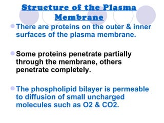 Structure of the Plasma
         Membrane
 There are proteins on the outer & inner
  surfaces of the plasma membrane.

 Some proteins penetrate partially
  through the membrane, others
  penetrate completely.

 The phospholipid bilayer is permeable
  to diffusion of small uncharged
  molecules such as O2 & CO2.
 