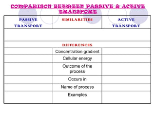 COMPARISON BETWEEN PASSIVE & ACTIVE
            TRANSPORT
  PASSIVE      SIMILARITIES            ACTIVE
TRANSPORT                            TRANSPORT



               DIFFERENCES
            Concentration gradient
               Cellular energy
               Outcome of the
                  process
                  Occurs in
              Name of process
                  Examples
 