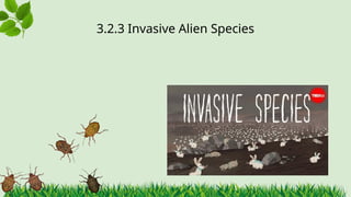 3.2.3 ​
Invasive Alien Species
 