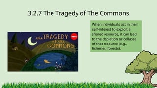 3.2.7 ​
The Tragedy of The Commons
When individuals act in their
self-interest to exploit a
shared resource, it can lead
to the depletion or collapse
of that resource (e.g.,
fisheries, forests).
 