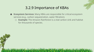 3.2.9 ​
Importance of KBAs
● Ecosystem Services: Many KBAs are responsible for critical ecosystem
services (e.g., carbon sequestration, water filtration).
○ Example: The Amazon Rainforest is a vital carbon sink and habitat
for thousands of species.
 