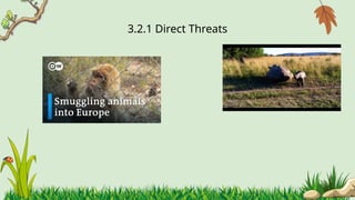 3.2.1 ​
Direct Threats
 