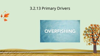 3.2.13 Primary Drivers
 