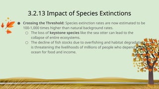 3.2.13 Impact of Species Extinctions
● Crossing the Threshold: Species extinction rates are now estimated to be
100-1,000 times higher than natural background rates.
○ The loss of keystone species like the sea otter can lead to the
collapse of entire ecosystems.
○ The decline of fish stocks due to overfishing and habitat degradation
is threatening the livelihoods of millions of people who depend on the
ocean for food and income.
 
