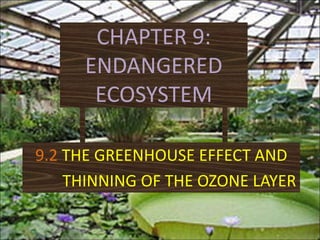 CHAPTER 9: ENDANGERED ECOSYSTEM 9.2THE GREENHOUSE EFFECT AND          THINNING OF THE OZONE LAYER 