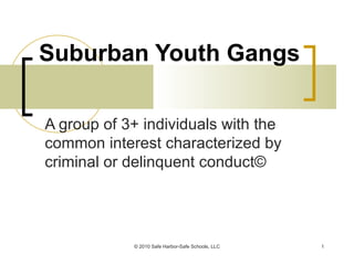 Suburban Youth Gangs A group of 3+ individuals with the common interest characterized by criminal or delinquent conduct © © 2010 Safe Harbor-Safe Schools, LLC 