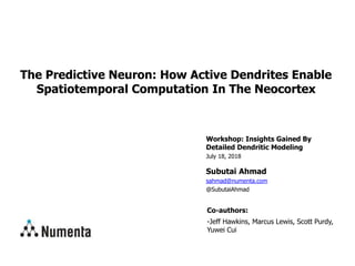 Workshop: Insights Gained By
Detailed Dendritic Modeling
July 18, 2018
Subutai Ahmad
sahmad@numenta.com
@SubutaiAhmad
The Predictive Neuron: How Active Dendrites Enable
Spatiotemporal Computation In The Neocortex
Co-authors:
-Jeff Hawkins, Marcus Lewis, Scott Purdy,
Yuwei Cui
 