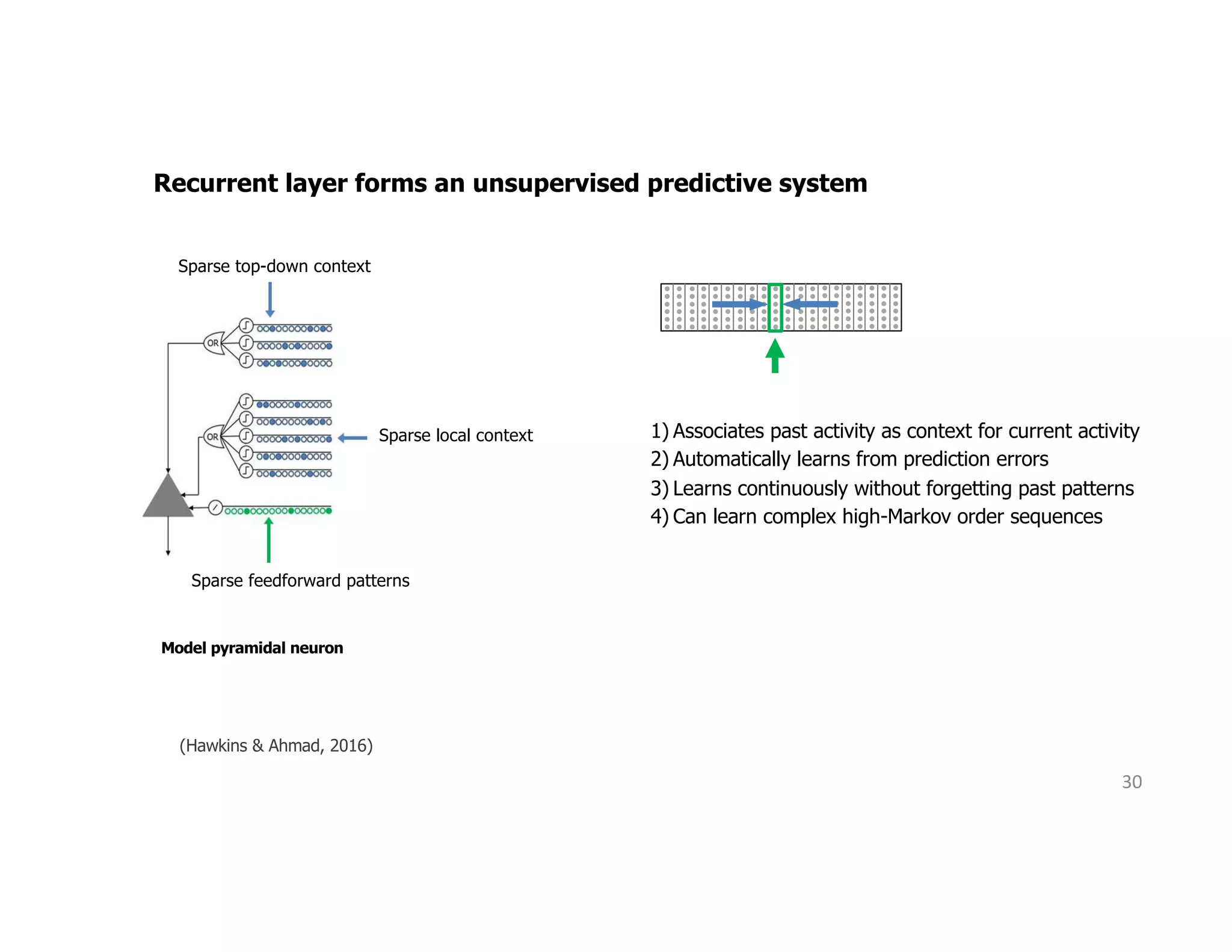 30
(Hawkins & Ahmad, 2016)
Recurrent layer forms an unsupervised predictive system
Model pyramidal neuron
Sparse top-down context
Sparse local context
Sparse feedforward patterns
1) Associates past activity as context for current activity
2) Automatically learns from prediction errors
3) Learns continuously without forgetting past patterns
4) Can learn complex high-Markov order sequences
 