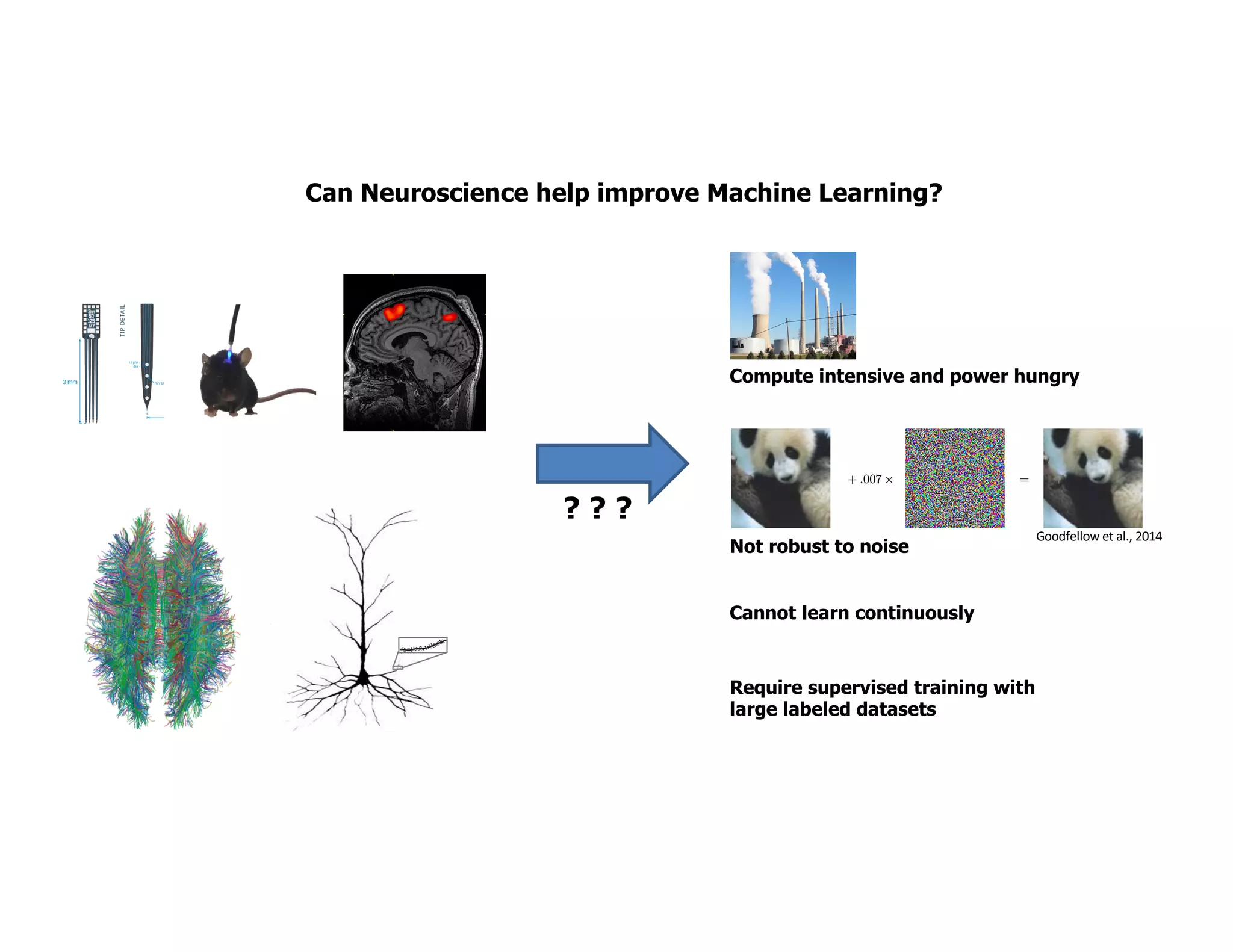 Compute intensive and power hungry
Goodfellow et al., 2014
Not robust to noise
Cannot learn continuously
Require supervised training with
large labeled datasets
? ? ?
Can Neuroscience help improve Machine Learning?
 