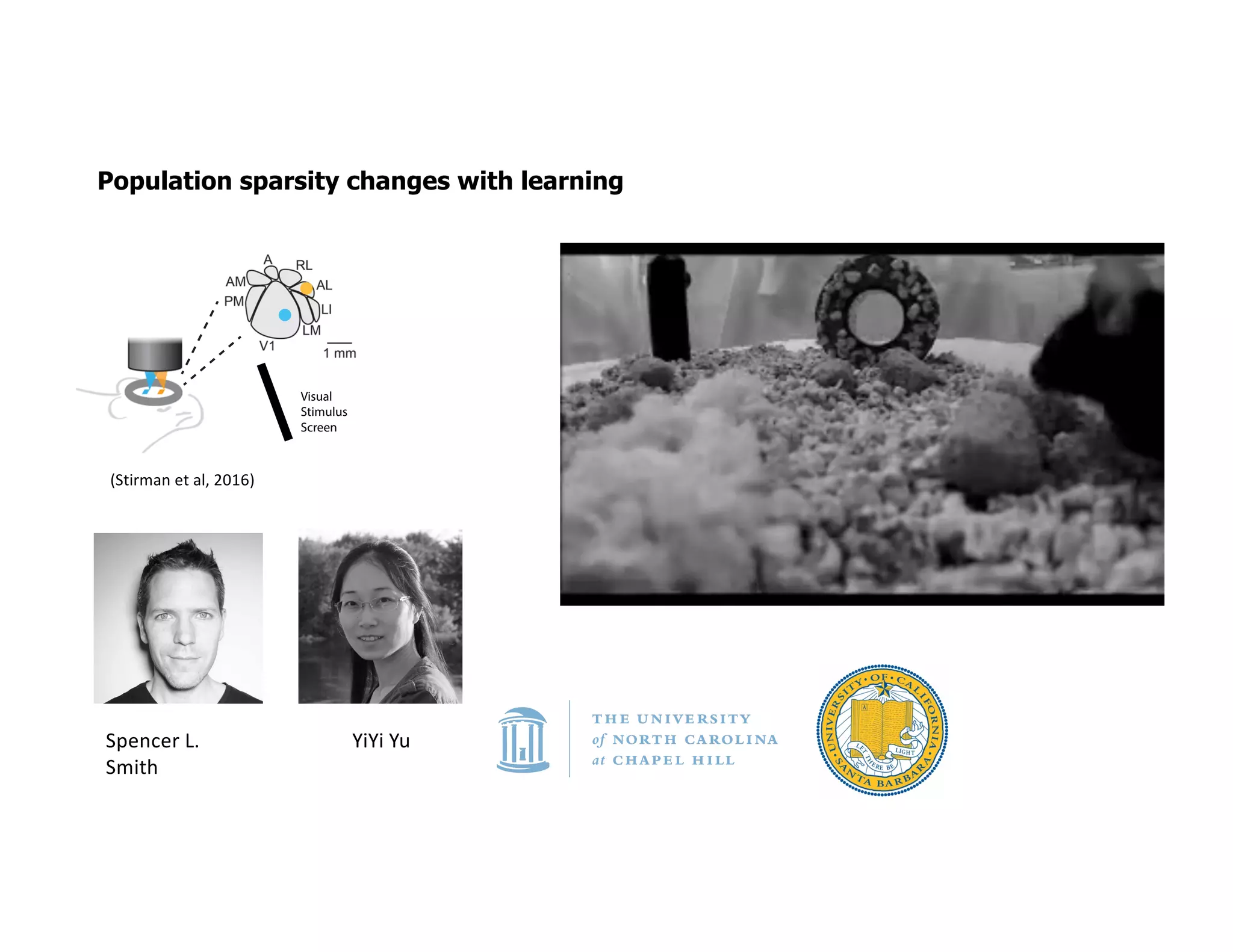 Population sparsity changes with learning
Cell Assembly Order
3 4 5 6
Numberofunique
cellassemblies
x104
0
1
2
3
4
5
6
7
Trial Number
0 5 10 15 20ActivationDensity
# 10
-3
3
4
5
6
7
8
9
10
11
12
V1
AL
Subsetindex
0
0.01
0.02
0.03
0.04
AL
D
ataShuffled
Poisson
Subsetindex
0
0.02
0.04
0.06
0.08
V1
Trial 1 Trial 20
Visual
Stimulus
Screen
A
Time (sec)
5 10 15 20 25 30
Neuron#
0
50
100
150
200
250
300
350
Time (sec)
5 10 15 20 25 30
Neuron#
0
50
100
150
200
250
300
350
Time (sec)
5 10 15 20 25 30
Neuron#
0
20
40
60
80
100
120
140
160
Time (sec)
5 10 15 20 25 30
Neuron#
0
20
40
60
80
100
120
140
160
Cell Assembly Order
3 4 5 6
0
500
1000
1500
2000
2500
3000
Data
Shuffled
Poisson
D
ataShuffled
Poisson
ALV1
ALV1
V1
AL
B
C
F
E
D
3-order cell
assembly
single cell
-1 -0.5 0 0.5 1
0
0.1
0.2
0.3
-1 -0.5 0 0.5 1
0
0.02
0.04
0.06
0.08
Time jitter (sec)
Prob.ofobserving
repeatedcellassembly
Time jitter (sec)
Prob.ofobserving
repeatedcellassembly
Spencer L.
Smith
(Stirman et al, 2016)
YiYi Yu
 