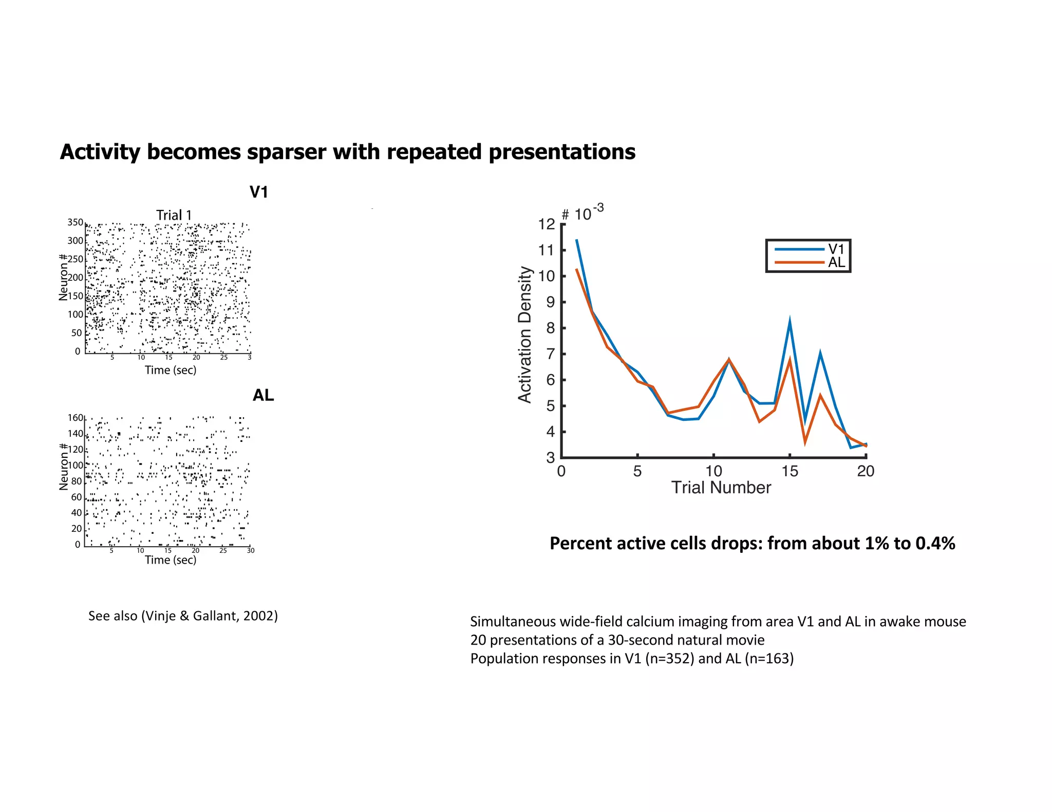 Activity becomes sparser with repeated presentations
Cell Assembly Order
3 4 5 6
Numberofunique
cellassemblies
x104
0
1
2
3
4
5
6
7
Trial Number
0 5 10 15 20
ActivationDensity
3
4
5
6
7
8
9
10
11 V1
AL
Subsetindex
0
0.01
0.02
0.03
0.04
D
ataShuffled
Poisson
Subsetindex
0
0.02
0.04
0.06
0.08
Trial 1 Trial 20
Visual
Stimulus
Screen
Time (sec)
5 10 15 20 25 30
Neuron#
0
50
100
150
200
250
300
350
Time (sec)
5 10 15 20 25 30
Neuron#
0
50
100
150
200
250
300
350
Time (sec)
5 10 15 20 25 30
Neuron#
0
20
40
60
80
100
120
140
160
Time (sec)
5 10 15 20 25 30
Neuron#
0
20
40
60
80
100
120
140
160
Cell Assembly Order
3 4 5 6
0
500
1000
1500
2000
2500
3000
Data
Shuffled
Poisson
D
ataShuffled
Poisson
ALV1
ALV1
V1
AL
3-order cell
assembly
single cell
-1 -0.5 0 0.5 1
0
0.1
0.2
0.3
-1 -0.5 0 0.5 1
0
0.02
0.04
0.06
0.08
Time jitter (sec)
Prob.ofobserving
repeatedcellassembly
Time jitter (sec)
Prob.ofobserving
repeatedcellassembly
Cell Assembly Order
3 4 5 6
Numberofunique
cellassemblies
x104
0
1
2
3
4
5
6
7
Trial Number
0 5 10 15 20
ActivationDensity
# 10-3
3
4
5
6
7
8
9
10
11
12
V1
AL
D
ataShuffled
Poisson
Subsetindex
0
0.02
0.04
0.06
0.08
V1
Trial 1 Trial 20
Visual
Stimulus
Screen
Time (sec)
5 10 15 20 25 30
Neuron#
0
50
100
150
200
250
300
350
Time (sec)
5 10 15 20 25 30
0
50
100
150
200
250
300
350
140
160
140
160
Cel
3
0
500
1000
1500
2000
2500
3000V1
AV1
V1
AL
0.3
0.08
ly
bly
See also (Vinje & Gallant, 2002) Simultaneous wide-field calcium imaging from area V1 and AL in awake mouse
20 presentations of a 30-second natural movie
Population responses in V1 (n=352) and AL (n=163)
Percent active cells drops: from about 1% to 0.4%
 