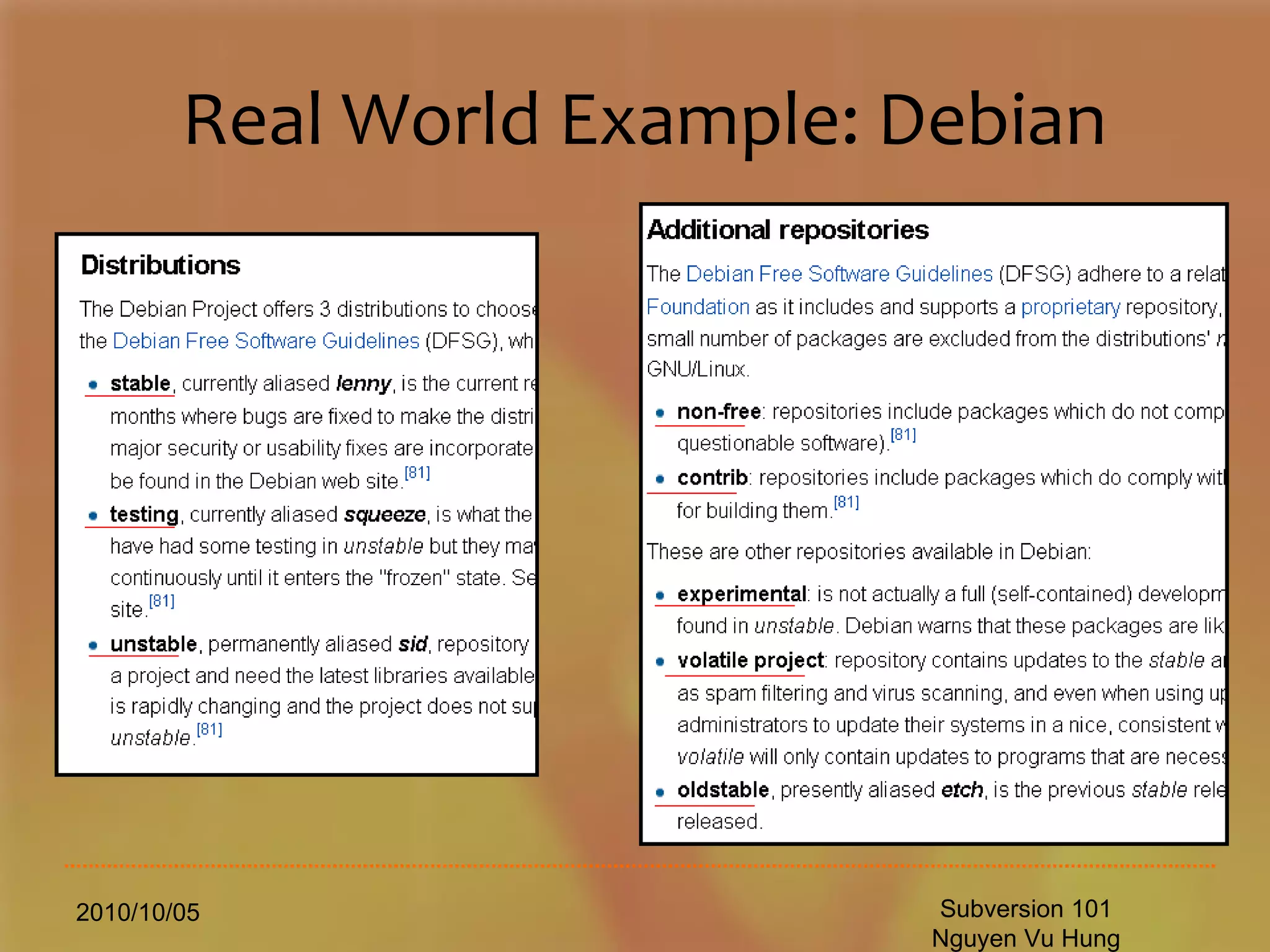 Real World Example: Debian 2010/10/05 Subversion 101 Nguyen Vu Hung 