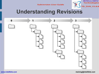 Understanding Revisions www.intellibitz.com   [email_address] 