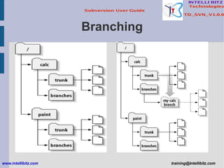Branching www.intellibitz.com   [email_address] 
