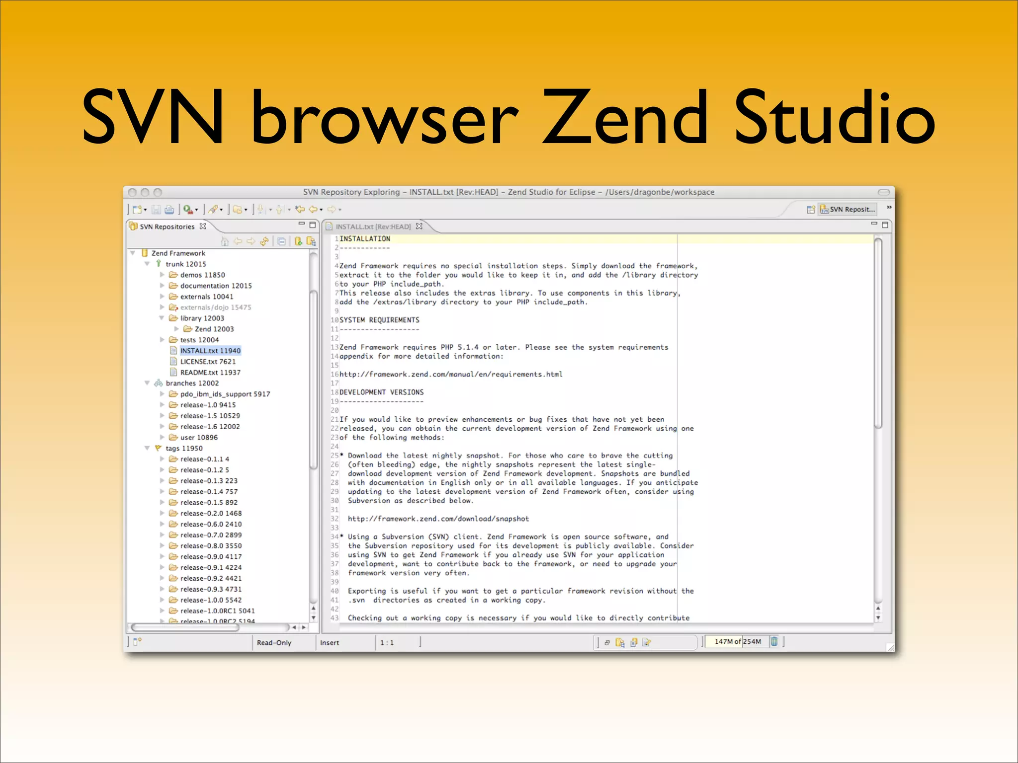SVN browser Zend Studio
 