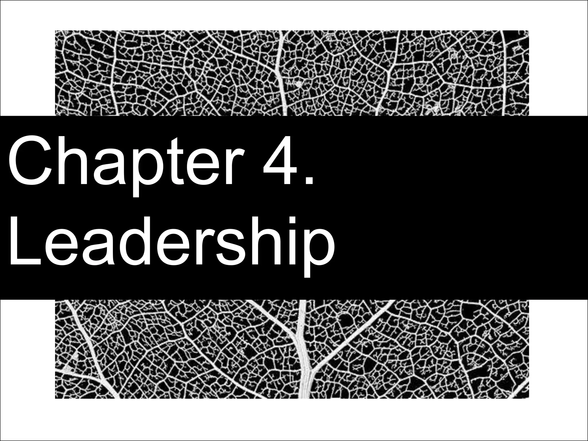 Page 18 | Social Business Pioneers
Chapter 4.
Leadership
 