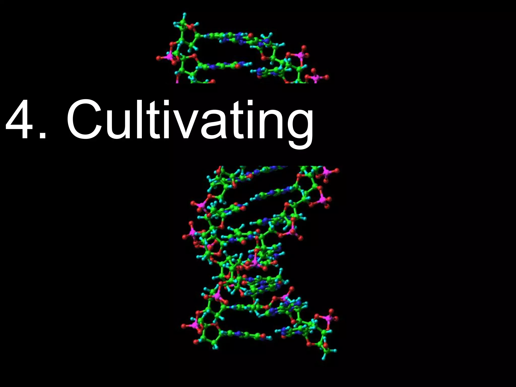 Page 42 | Social Business Pioneers
4. Cultivating
 