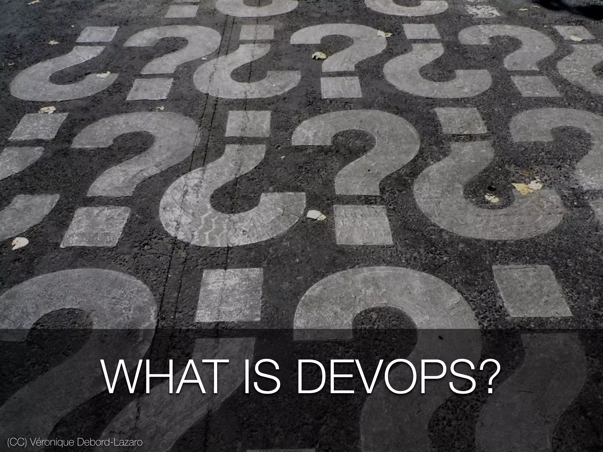 WHAT IS DEVOPS?
(CC) Véronique Debord-Lazaro
 