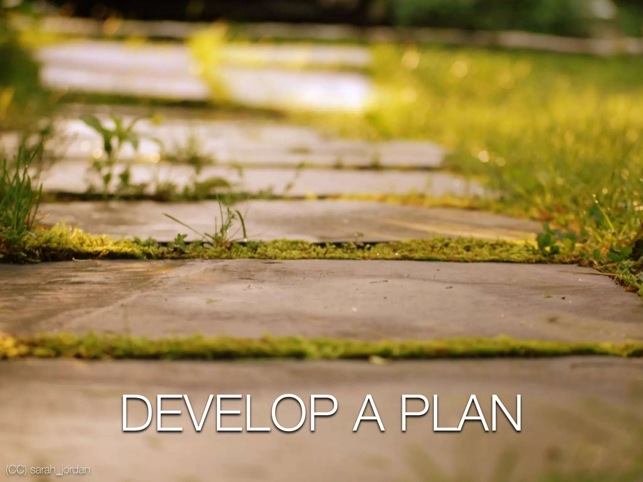 DEVELOP A PLAN
(CC) sarah_jordan
 