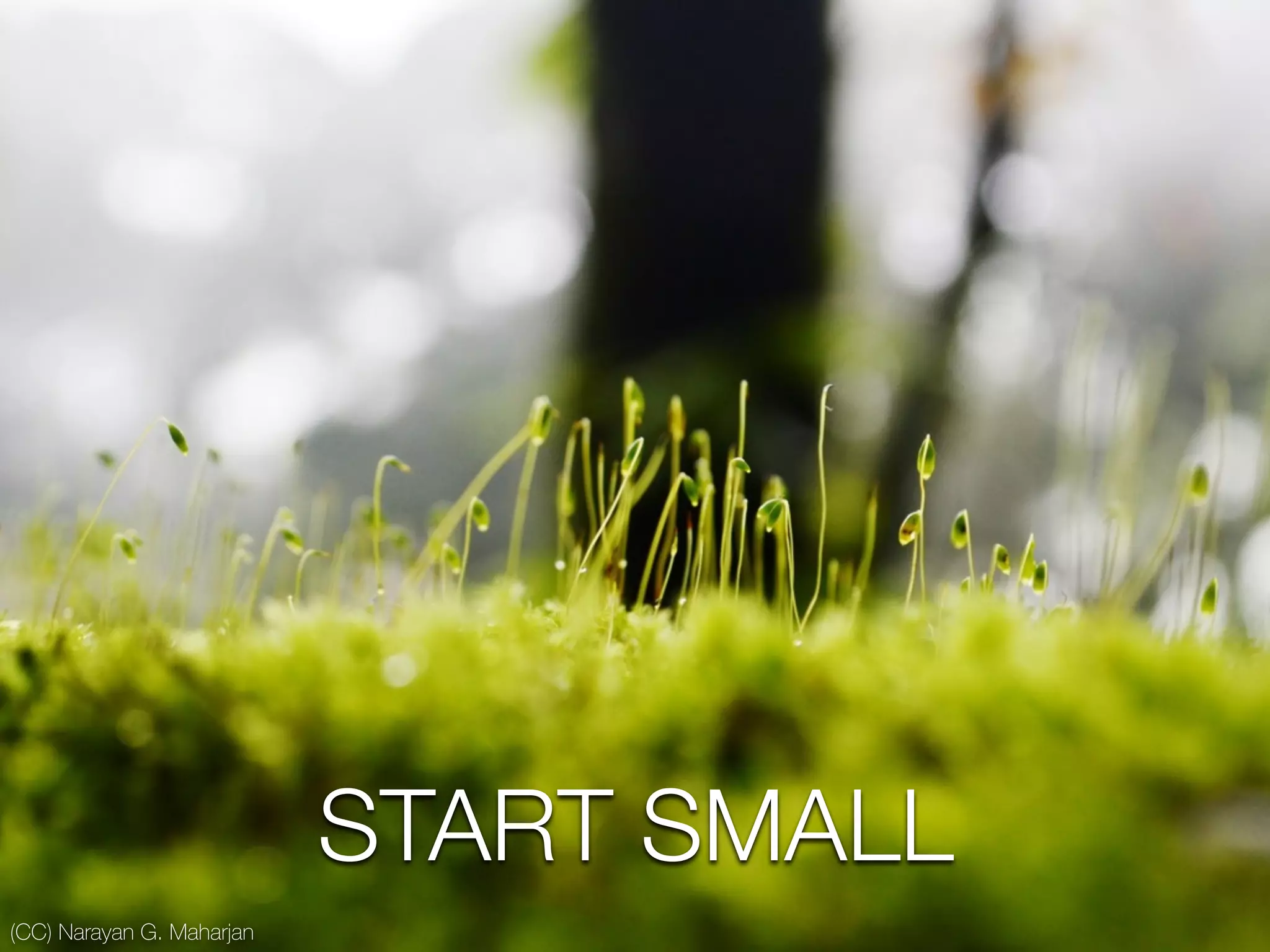 (CC) Narayan G. Maharjan
START SMALL
 