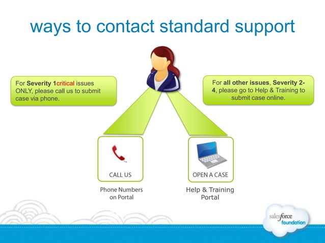 Overview of the Standard Success Plan | PPTX | IT and Internet Support ...