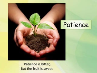 Patience is bitter,
But the fruit is sweet.
Patience
 