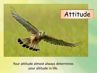 Your attitude almost always determines
your altitude in life.
Attitude
 