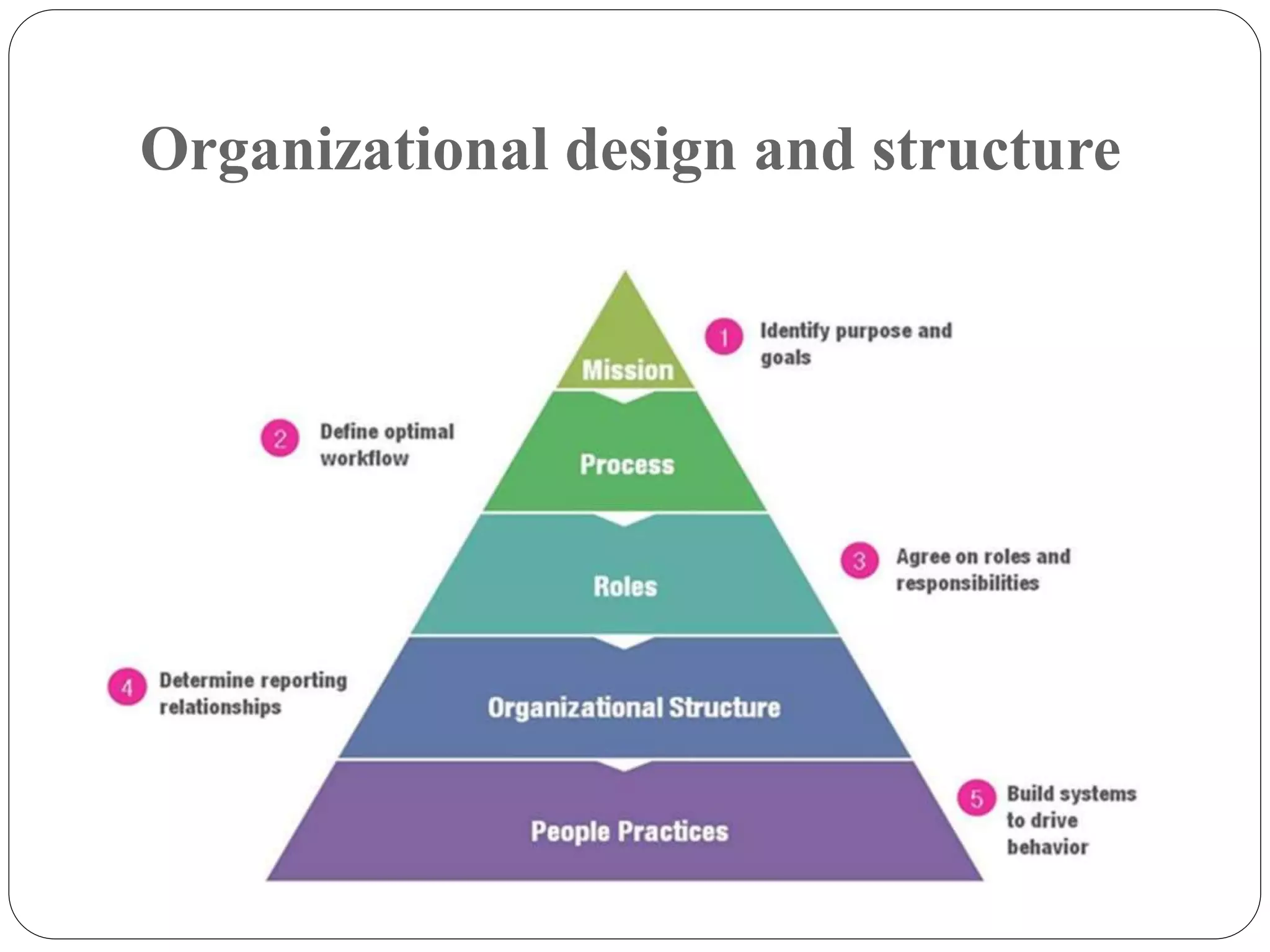 Organizational design and structure
 