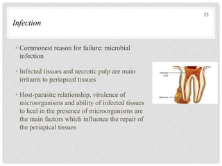 Infection
• Commonest reason for failure: microbial
infection
• Infected tissues and necrotic pulp are main
irritants to periapical tissues
• Host-parasite relationship, virulence of
microorganisms and ability of infected tissues
to heal in the presence of microorganisms are
the main factors which influence the repair of
the periapical tissues
25
 