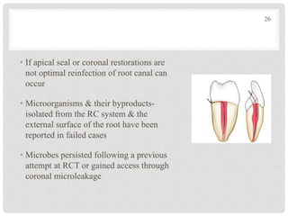 • If apical seal or coronal restorations are
not optimal reinfection of root canal can
occur
• Microorganisms & their byproducts-
isolated from the RC system & the
external surface of the root have been
reported in failed cases
• Microbes persisted following a previous
attempt at RCT or gained access through
coronal microleakage
26
 
