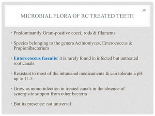 MICROBIAL FLORA OF RC TREATED TEETH
• Predominantly Gram-positive cocci, rods & filaments
• Species belonging to the genera Actinomyces, Enterococcus &
Propionibacterium
• Enterococcus faecalis: it is rarely found in infected but untreated
root canals
• Resistant to most of the intracanal medicaments & can tolerate a pH
up to 11.5
• Grow as mono infection in treated canals in the absence of
synergistic support from other bacteria
• But its presence: not universal
38
 