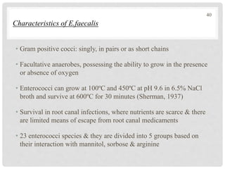 Characteristics of E.faecalis
• Gram positive cocci: singly, in pairs or as short chains
• Facultative anaerobes, possessing the ability to grow in the presence
or absence of oxygen
• Enterococci can grow at 100ºC and 450ºC at pH 9.6 in 6.5% NaCl
broth and survive at 600ºC for 30 minutes (Sherman, 1937)
• Survival in root canal infections, where nutrients are scarce & there
are limited means of escape from root canal medicaments
• 23 enterococci species & they are divided into 5 groups based on
their interaction with mannitol, sorbose & arginine
40
 