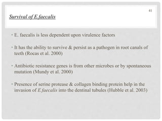 Survival of E.faecalis
• E. faecalis is less dependent upon virulence factors
• It has the ability to survive & persist as a pathogen in root canals of
teeth (Rocas et al. 2000)
• Antibiotic resistance genes is from other microbes or by spontaneous
mutation (Mundy et al. 2000)
• Presence of serine protease & collagen binding protein help in the
invasion of E.faecalis into the dentinal tubules (Hubble et al. 2003)
41
 