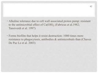 • Alkaline tolerance due to cell wall associated proton pump: resistant
to the antimicrobial effect of Ca(OH)2 (Fabricus et al.1982;
Tansiverdi et al. 1997)
• Forms biofilm that helps it resist destruction: 1000 times more
resistance to phagocytosis, antibodies & antimicrobials than (Chavez
De Paz Le et al. 2003)
42
 