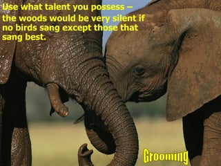 Use what talent you possess –  the woods would be very silent if no birds sang except those that sang best. Grooming 