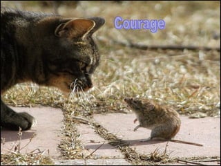 Courage 