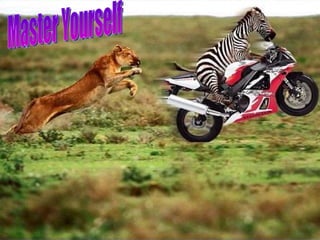 Master Yourself 