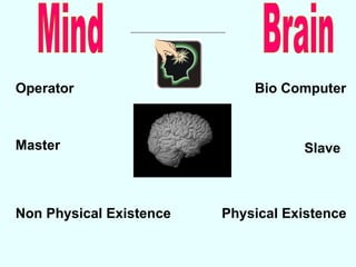 Mind Brain Operator Bio Computer Master Slave Non Physical Existence Physical Existence 