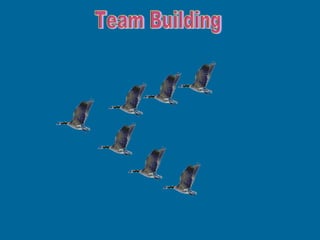 Team Building 