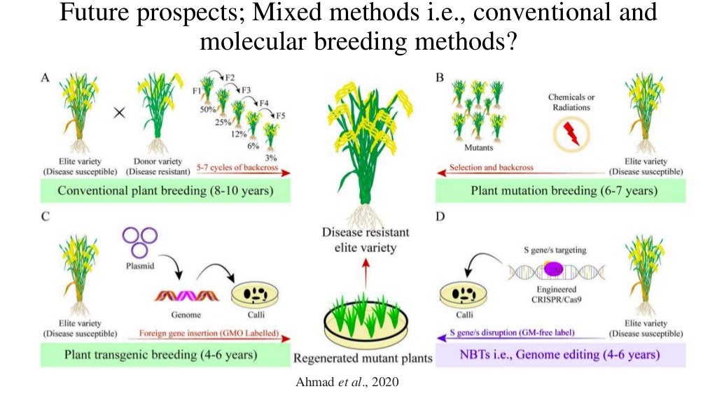 Successes and limitations of conventional plant breeding methods