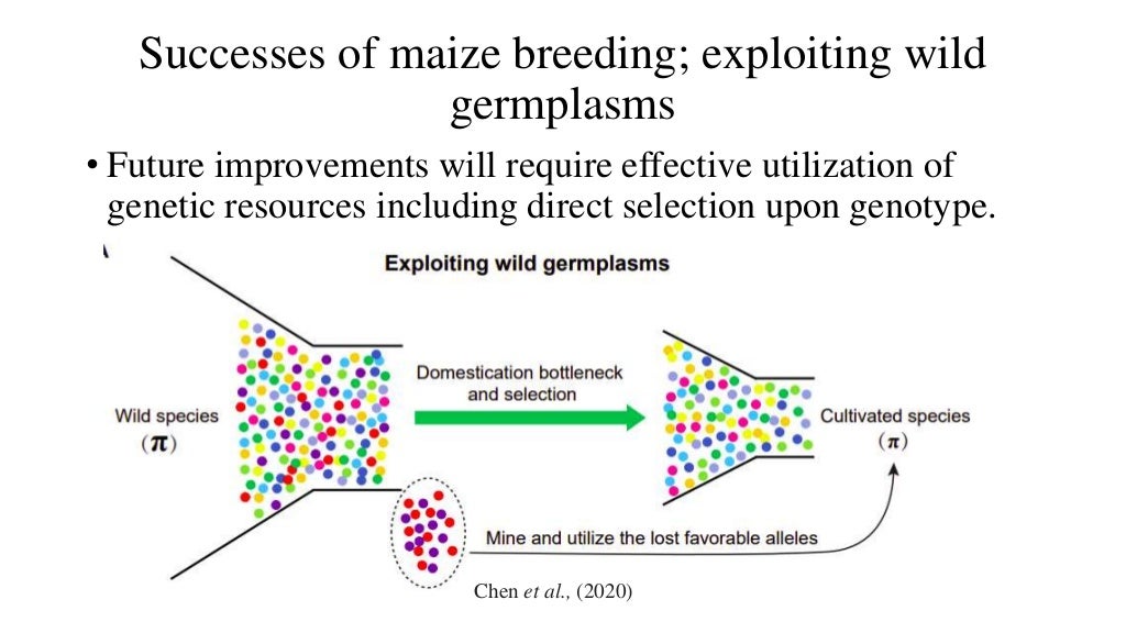 Successes and limitations of conventional plant breeding methods