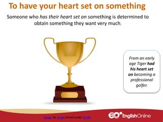 To have your heart set on something
Someone who has their heart set on something is determined to
obtain something they want very much.
Image by Joi Ito shared under CC-BY
From an early
age Tiger had
his heart set
on becoming a
professional
golfer.
 