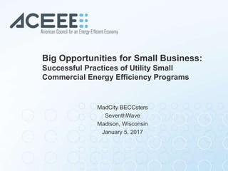 Big Opportunities for Small Business:
Successful Practices of Utility Small
Commercial Energy Efficiency Programs
MadCity BECCsters
SeventhWave
Madison, Wisconsin
January 5, 2017
 