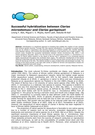 AACL Bioflux, 2023, Volume 16, Issue 6.
http://www.bioflux.com.ro/aacl
3285
Successful hybridization between Clarias
microstomus♂ and Clarias gariepinus♀
Lirong Y. Abit, Miguel I. V. Mojilis, Kamil Latif, Abdulla-Al-Asif
Department of Animal Science and Fishery, Faculty of Agricultural and Forestry Sciences,
Universiti Putra Malaysia, Bintulu Sarawak Campus, Bintulu, Sarawak, Malaysia.
Corresponding author: K. Latif, kamill@upm.edu.my
Abstract. Hybridization is a significant approach to breeding that enables the creation of new varieties
that enhance genetic diversity. Through fish inter-species hybridization, it is possible to produce hybrids
that can be utilized in aquaculture and stocking programs to enhance growth rate, transfer desirable
traits between species, and combine the favourable attributes of two parents into a single progeny. The
present study revealed the successful hybridization between Clarias microstomus (Ng, 2001) ♂ and
Clarias gariepinus (Burchell, 1822) ♀ for the first time in the aquaculture industry. C. microstomus is a
species of Clariid catfish endemic to the island of Borneo and C. gariepinus is an introduced species
widely aquacultured throughout the southeast Asian region. The embryonic development of the hybrid
offspring is described with the hatching percentage of 58.63% and the early survival rate for the first 72
hours for the larvae of 85.76%. The hybrids showed no signs of deformities and developed normally. The
findings of the study provide a new high yield variety of catfish for farmers and aquaculture industry for
increasing production and profit margin.
Key Words: Clariid catfish, crossbreeding, embryonic development, endemic species, Malaysian Borneo.
Introduction. The most cultured fin-fishes worldwide are tilapia, carp, salmon and
catfish (FAO 2021). The culture of African catfish (Clarias gariepinus) in Malaysia is a
major contributor to Malaysia’s aquaculture industry, being the highest single species
finfish aquaculture output, contributing with 10% to the nation’s total aquaculture
production (Dauda et al 2018). C. gariepinus is native to Africa and was introduced to
Malaysia as an aquaculture species via Thailand in the mid 1980’s (Dauda et al 2018).
The island of Borneo has a rich diversity of native clariid species (Hee 1999; Ng 2001,
2003). C. microstomus is a relatively new species to science. This species is endemic to
Borneo and was first described by Heok-Hee Ng in 2001 (Ng 2001). C. microstomus
belongs to the C. leiacanthus species group, as defined by Ng (1999). Species in this
group have short bodies with 62-74 dorsal-fin rays. C. microstomus differs from all
congeners in this group by having a narrower snout and mouth and a deeper body (Ng
2001). C. microstomus is currently listed as data deficient under the IUCN Redlist for
endangered species (Ng 2001, 2019). In general, all species from the genus Clarias are
widely favored for aquaculture and as food fish due to their low count of intramuscular
bones, good flavor, fast growth rate and ability to be cultured under less than optimum
water quality conditions (Goda et al 2007; Zafar et al 2017; Ferosekhan et al 2022).
However, the aquaculture of native species of Clarias in Borneo has been neglected in
favor of African catfish (Jabarsyah et al 2022).
The production of native species for aquaculture is favorable to non-native species
due to a number of reasons such as bio security, ecosystem degradation, loss of
biodiversity and extinction of native species (Ju et al 2020; Abit et al 2021). Despite the
significant economic importance of local Clarias species, like C. microstomus, their
successful aquaculture has faced numerous challenges (Tine 2021; Mbokane et al 2022).
These obstacles primarily stem from the scarcity of research conducted on reproductive
and culture techniques, as well as the unavailability of suitable brood stock and fries
(Adebayo et al 2012; Uedeme-naa & Nwafili 2017). Moreover, when compared to the
 