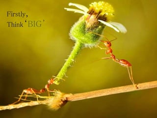Firstly,
Think‘BIG’
 