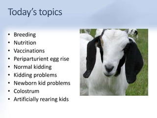 • Breeding 
• Nutrition 
• Vaccinations 
• Periparturient egg rise 
• Normal kidding 
• Kidding problems 
• Newborn kid problems 
• Colostrum 
• Artificially rearing kids 
 