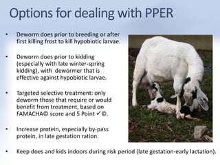 • Deworm does prior to breeding or after 
first killing frost to kill hypobiotic larvae. 
• Deworm does prior to kidding 
(especially with late winter-spring 
kidding), with dewormer that is 
effective against hypobiotic larvae. 
• Targeted selective treatment: only 
deworm those that require or would 
benefit from treatment, based on 
FAMACHA© score and 5 Point ©. 
• Increase protein, especially by-pass 
protein, in late gestation ration. 
• Keep does and kids indoors during risk period (late gestation-early lactation). 
 