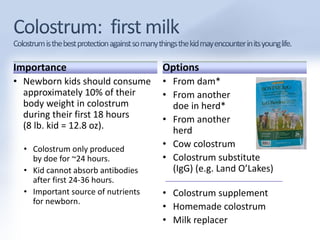 Importance 
• Newborn kids should consume 
approximately 10% of their 
body weight in colostrum 
during their first 18 hours 
(8 lb. kid = 12.8 oz). 
• Colostrum only produced 
by doe for ~24 hours. 
• Kid cannot absorb antibodies 
after first 24-36 hours. 
• Important source of nutrients 
for newborn. 
Options 
• From dam* 
• From another 
doe in herd* 
• From another 
herd 
• Cow colostrum 
• Colostrum substitute 
(IgG) (e.g. Land O’Lakes) 
• Colostrum supplement 
• Homemade colostrum 
• Milk replacer 
 